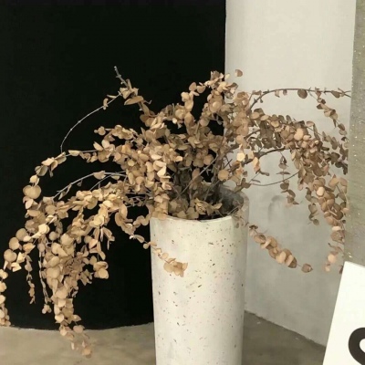 Furry色彩搭配技巧FurryQQ群